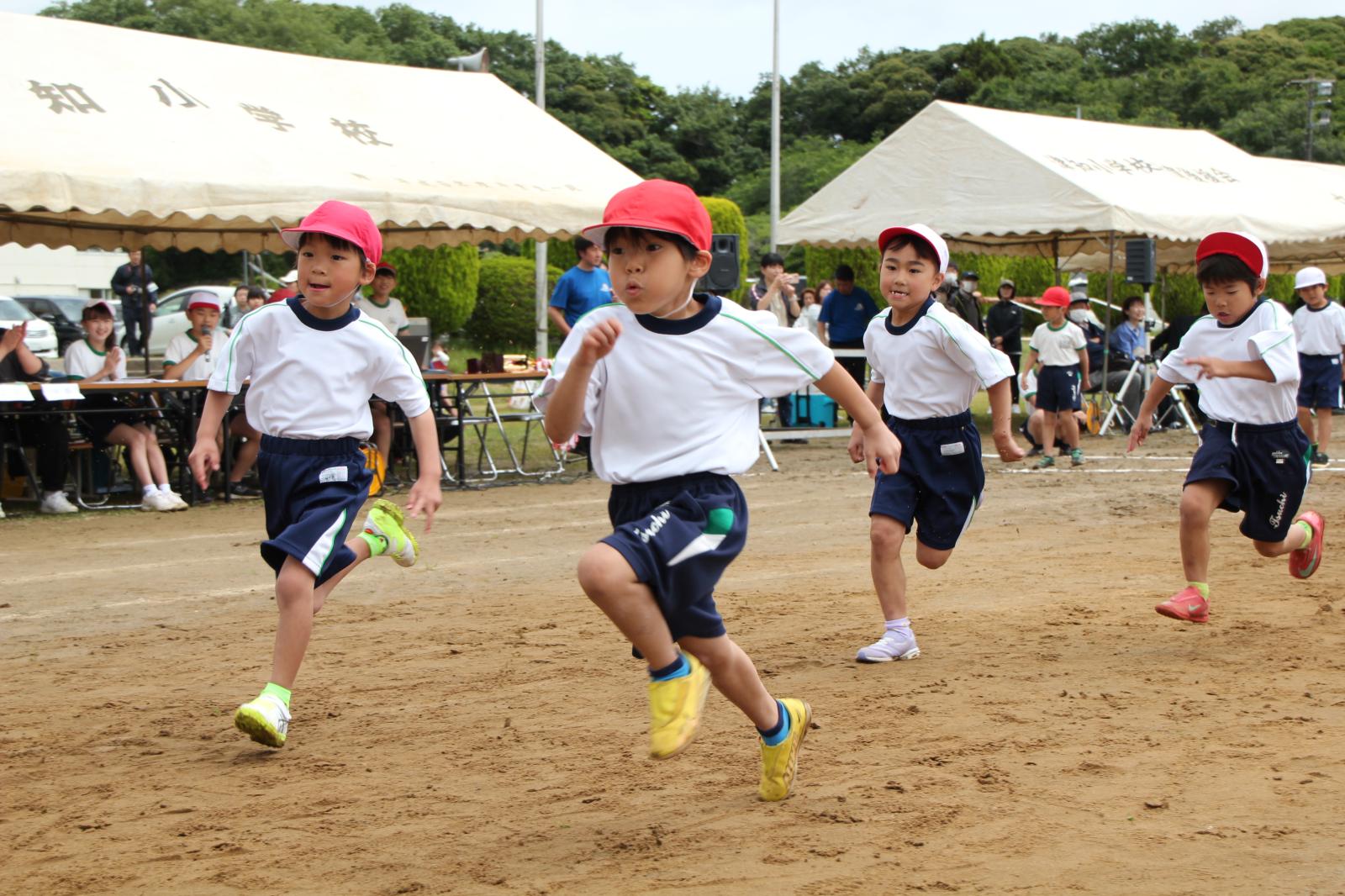 ファイナル運動会